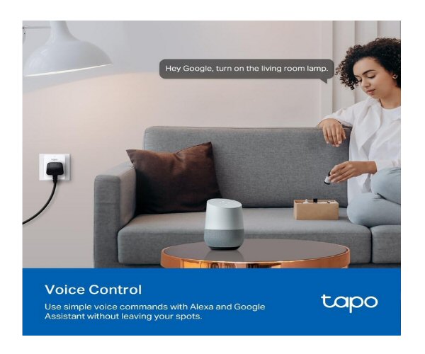 Smart Home Voice control