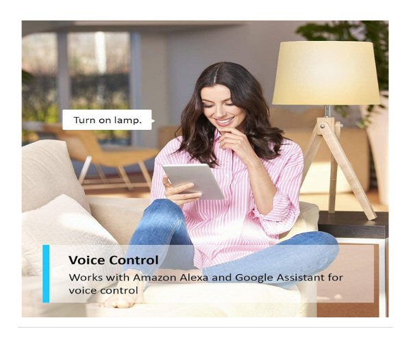 Smart Home Voice control